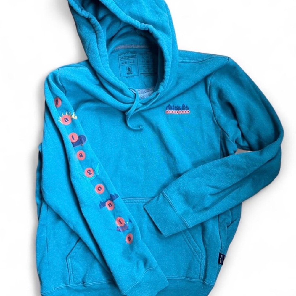 Patagonia Hoodie with Graphic Sleeve